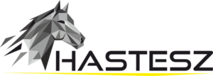 https://hastesz.sk/wp-content/uploads/2024/09/logo_zlta-300x107.png